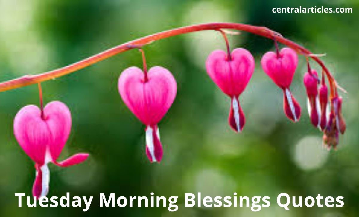 Tuesday Morning Blessings
