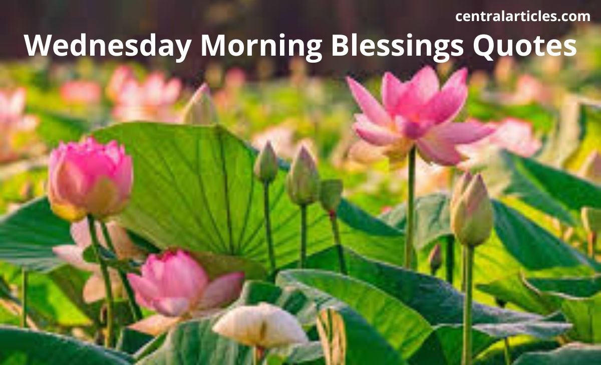 Wednesday Morning Blessings